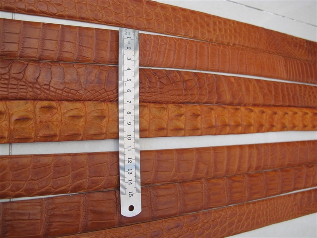 Thắt lưng màu vàng da lưng cá sấu